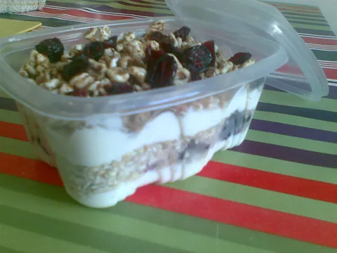 Domaći voćni jogurt - borovnice i brusnice