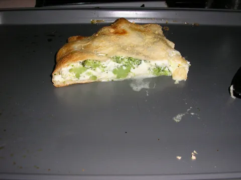 Calzone s brokulama i mladim sirom