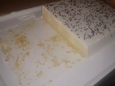 Rafaelo kocke