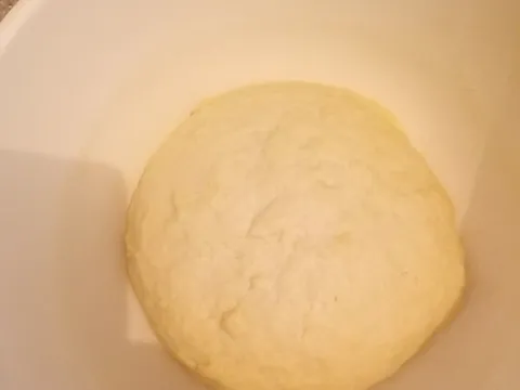 umijeseno tijesto prije odmaranja