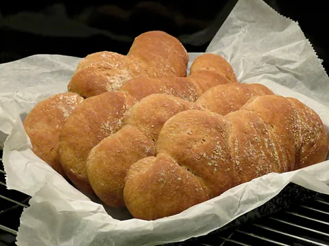 Korijen kruhići
