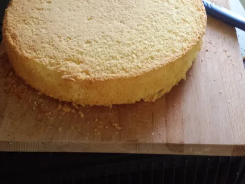 biskvit za tortu od Ljubice