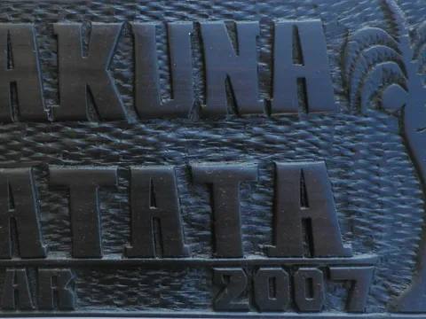 U kući doktora Livingstona
