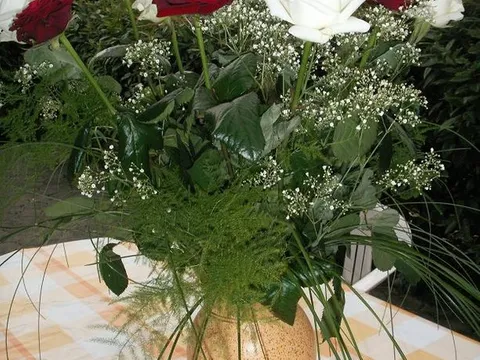 Srecan rodjendan BABILU