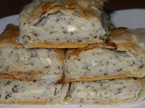 JOŠ JEDNA PITA