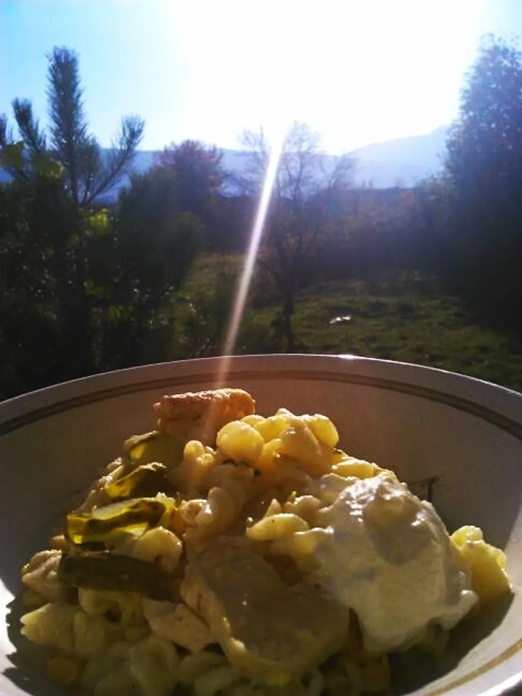Makaroni sa poletinom