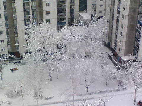 ZIMA 2010