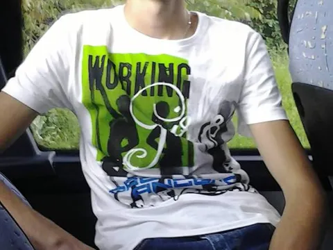 Veliki Transfer