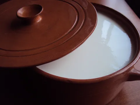 Domaći jogurt