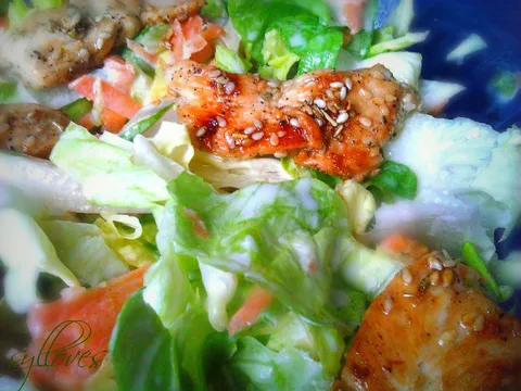 Fit salata