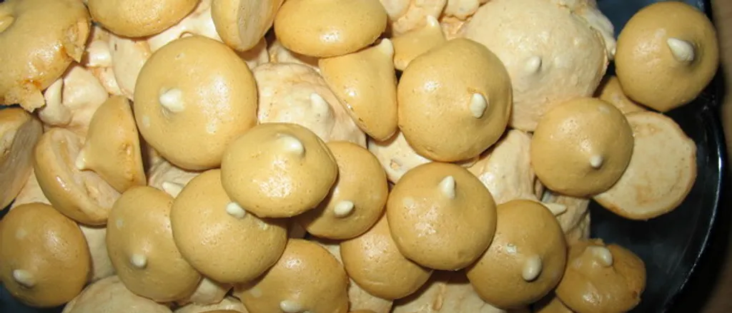Bjelanci