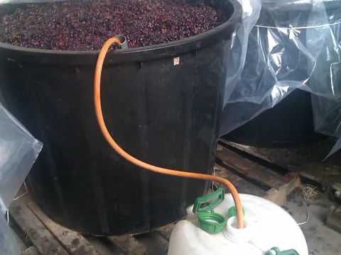 Poteklo je vino....