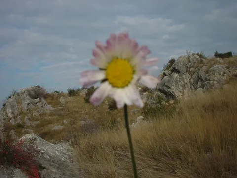 ..voli-ne voli&#8230;
