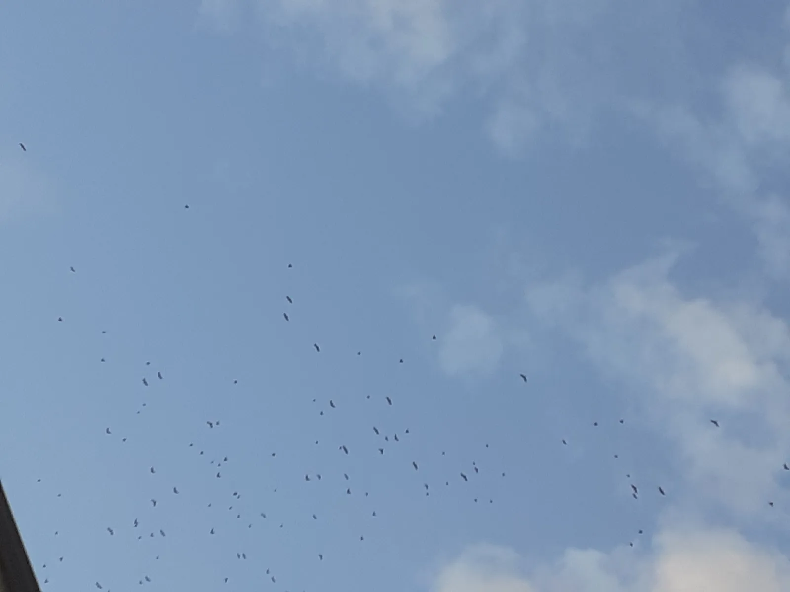 Test 1.jpg