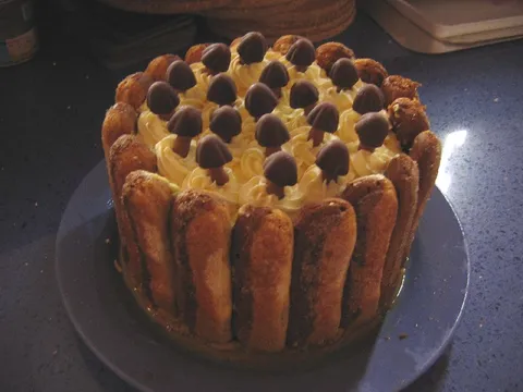 Tiramisu torta