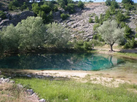 izvor cetine