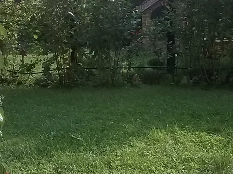 Brzi džem od jagoda i marelica (JAMALADA)