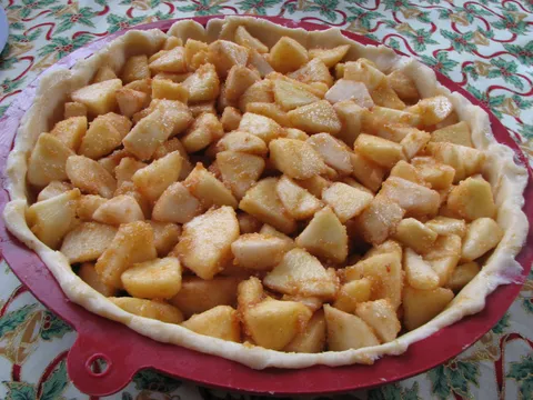 Pita sa jabukama