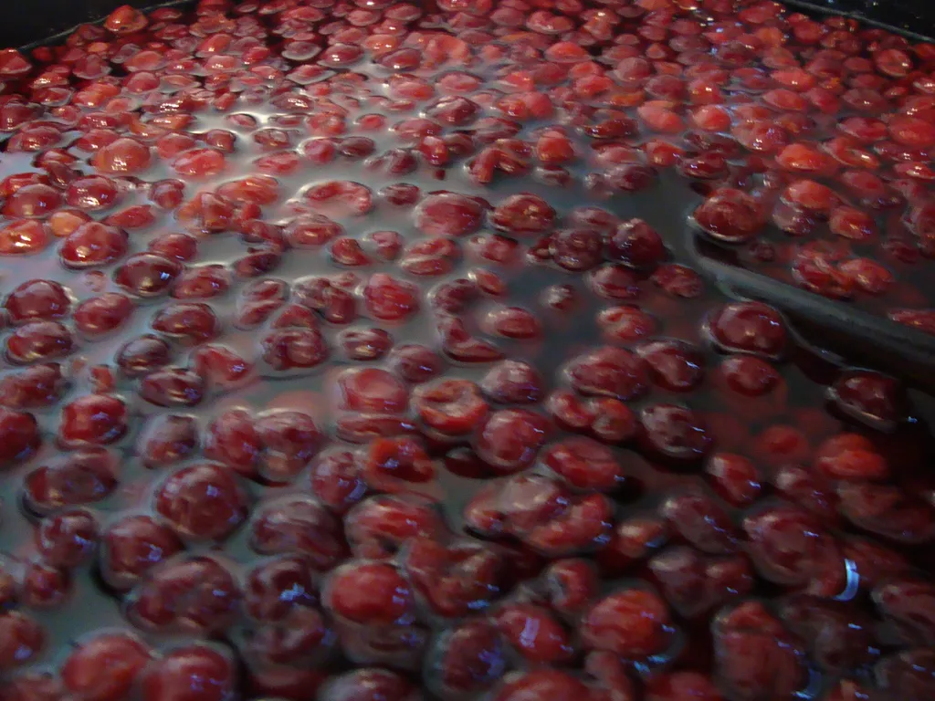 Sirup od višnje+kompot