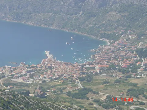 Vis
