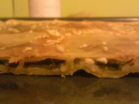 ZIMSKI SOPARNIK