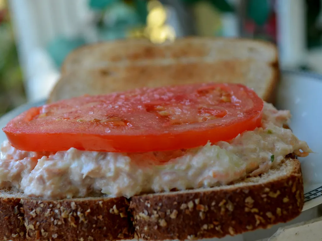 Tuna salad sendvich