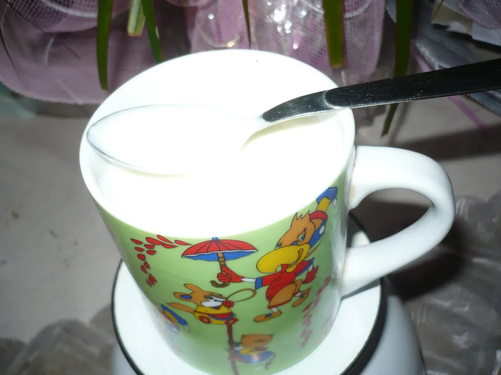 Domaći jogurt