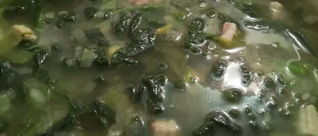 Šunka