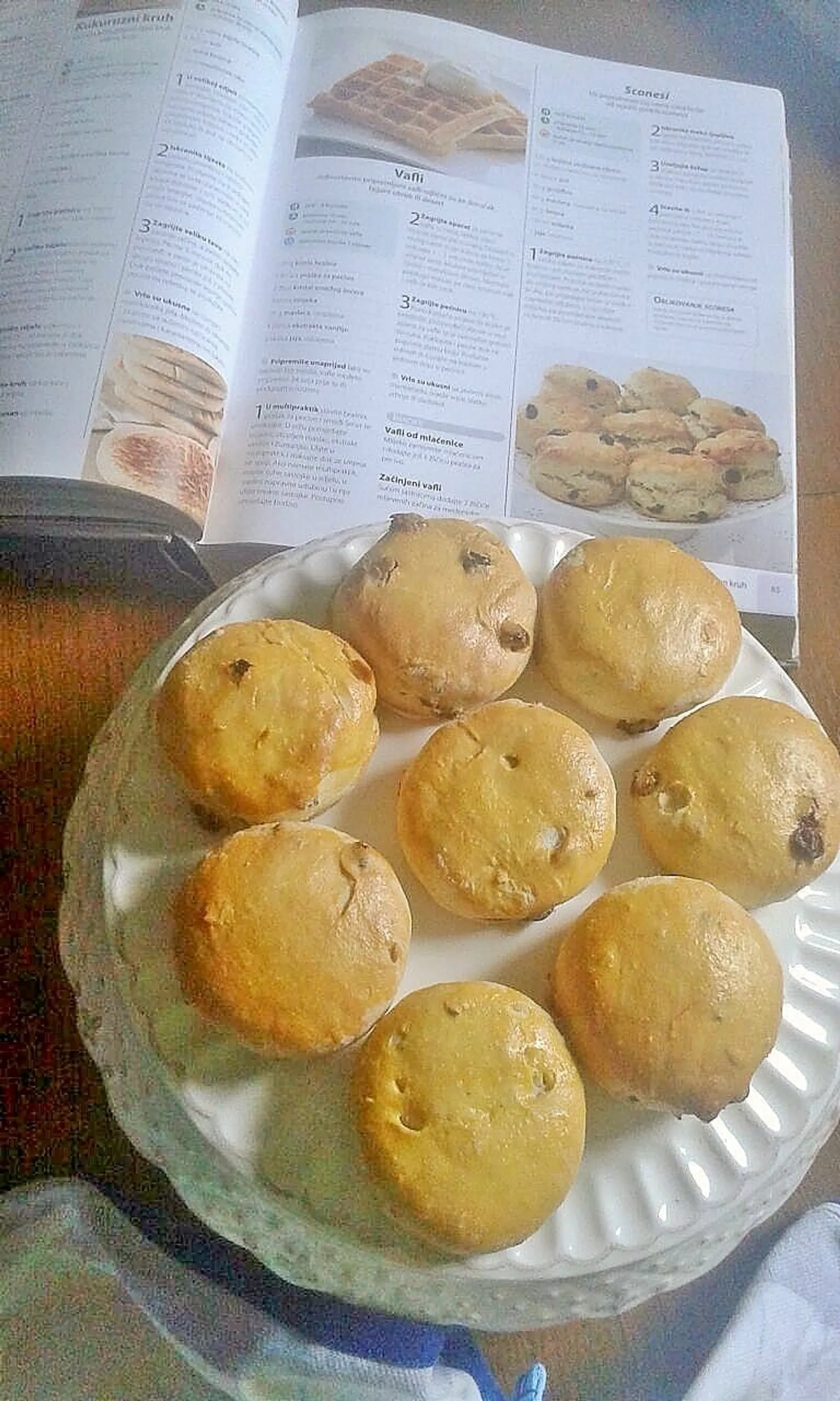 sconesi