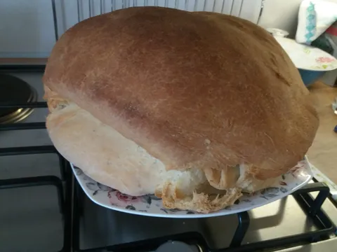 Česnica