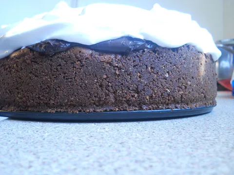 mississipi mud cake