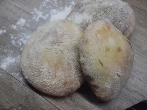 domaći somuni