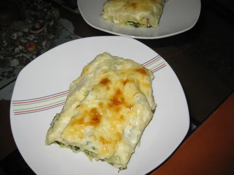 Cannelloni sa špinatom i sirom