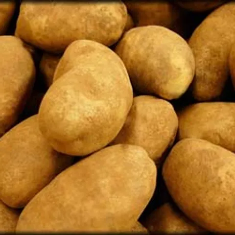 Munjinjo