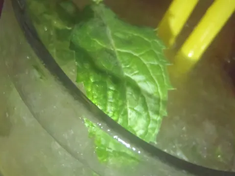 mojito