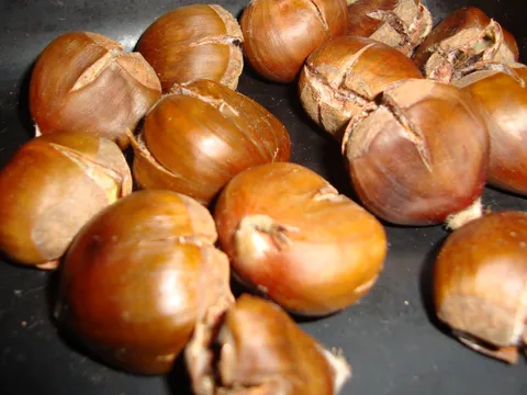 KESTENI