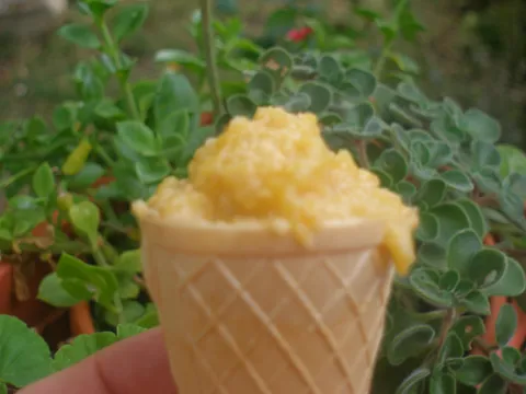 Zimski sladoled