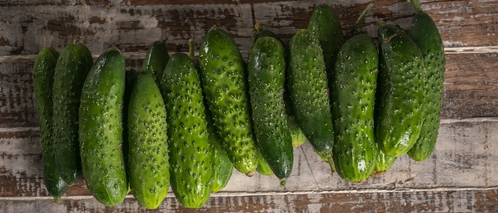 Krastavci
