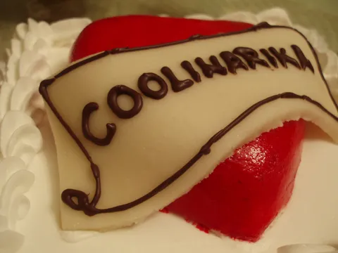 Cool tortica