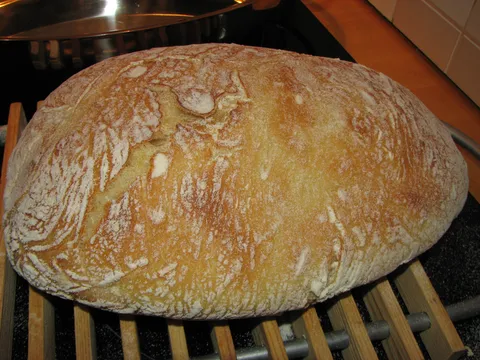 no knead bread