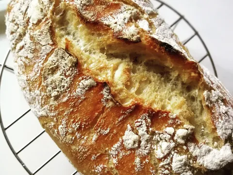 No knead bread