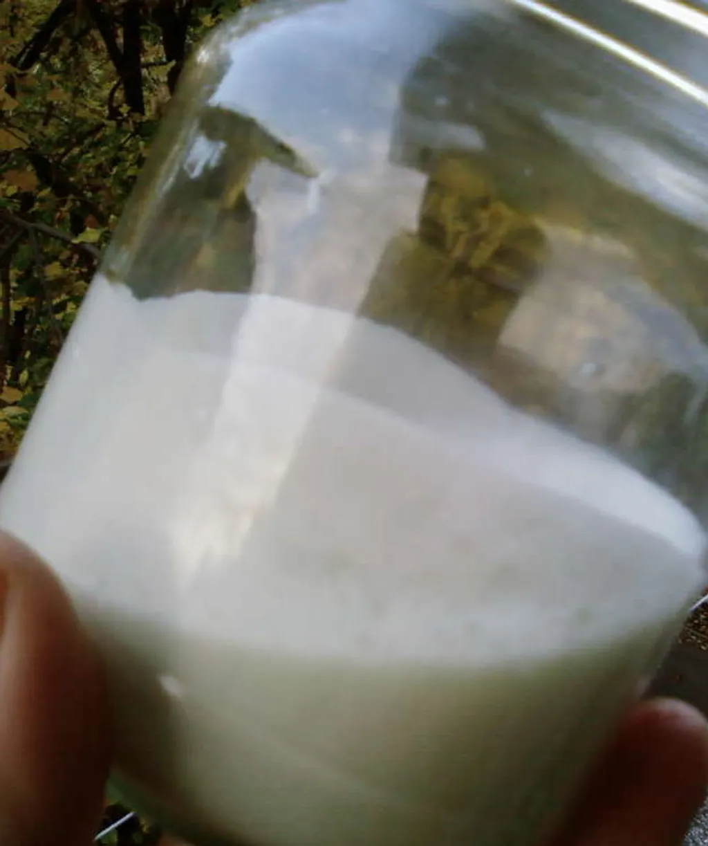 Pavlaka od obranog mleka