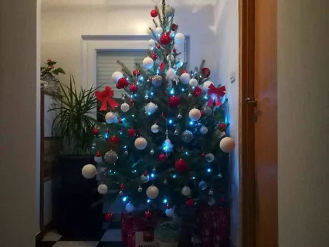 Sretan Božić coolerice