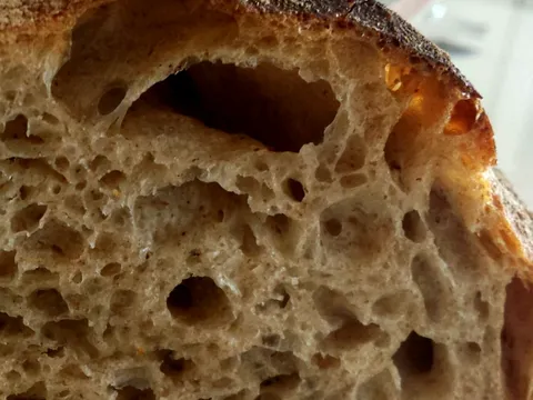 Integralni "no knead" kruh