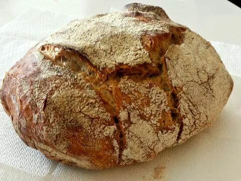 Integralni "no knead" kruh