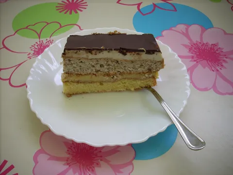 ružica šnite