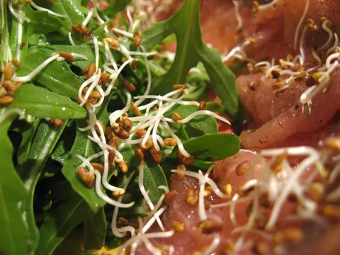 Carpaccio