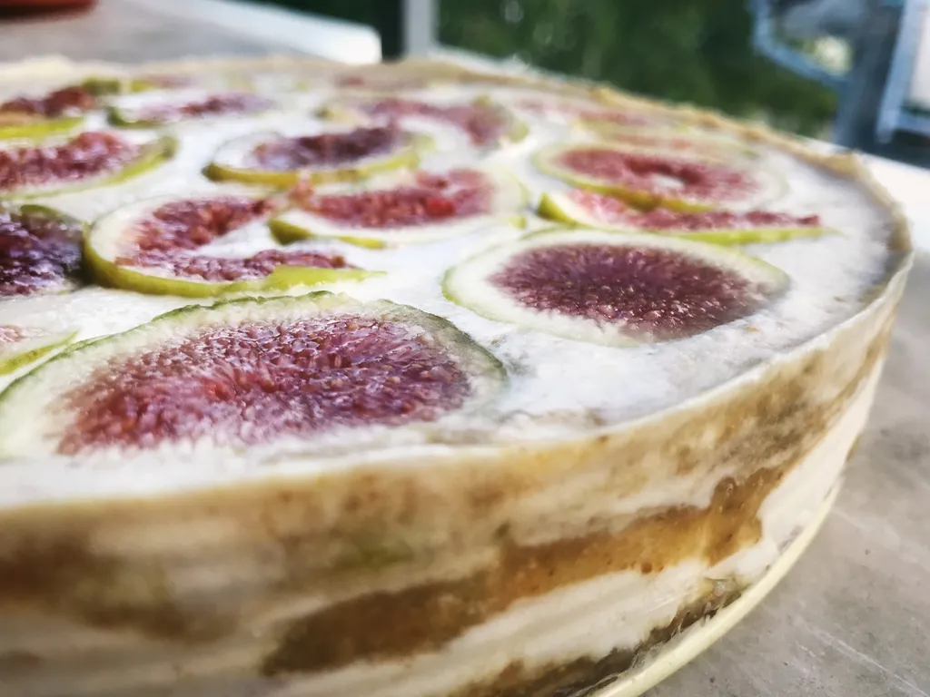 Sirova torta od smokava i kokosa