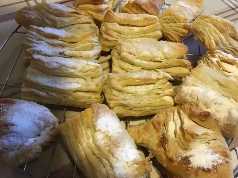 Lazni salenjaci