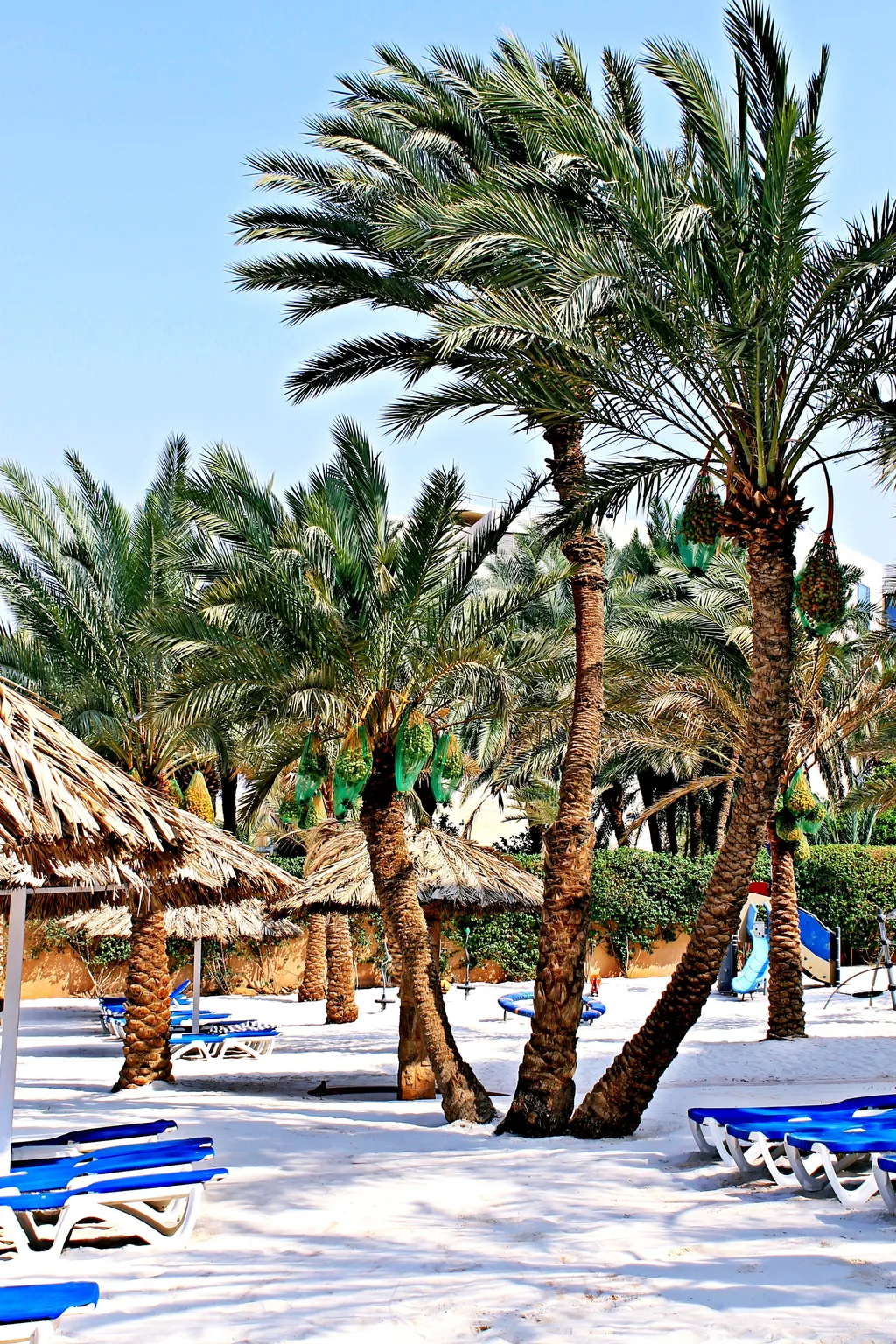 Aqaba